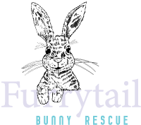 Furrytail Bunny Rescue
